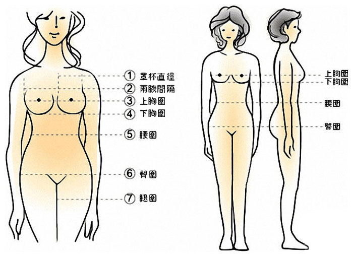 测量女性胸围